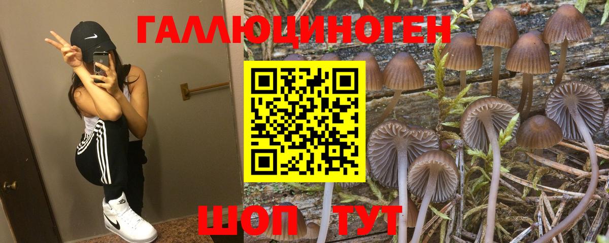 Псилоцибиновые грибы прущие грибы Армавир