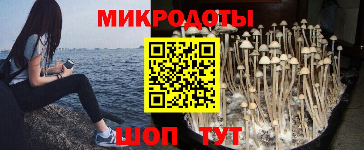 Псилоцибиновые грибы Cubensis  Вход с VPN  Армавир 